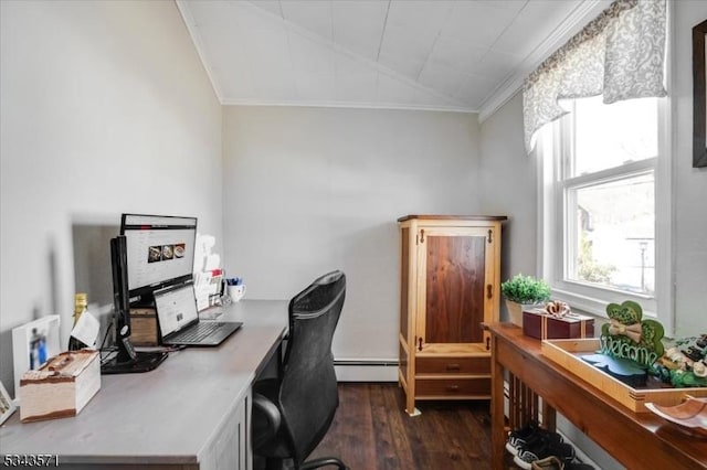 office with dark wood finished floors, ornamental molding, and a baseboard radiator