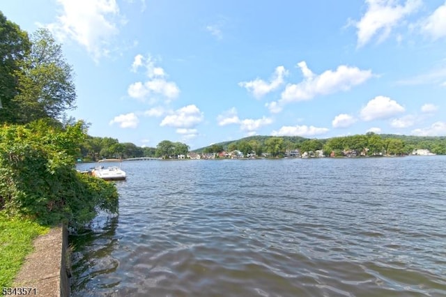 property view of water with a dock