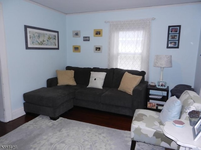 living area featuring dark wood-style floors and crown molding