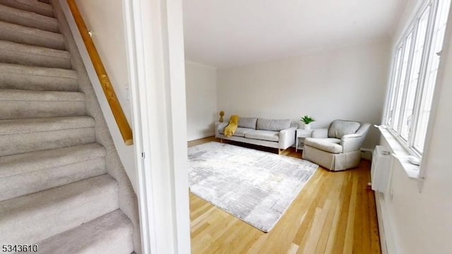 living room featuring stairway and wood finished floors