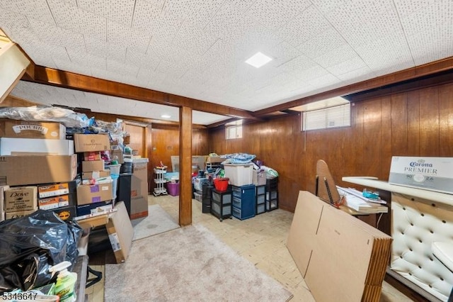 basement with wood walls