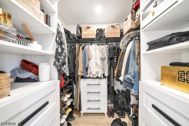 view of walk in closet