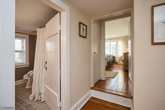 hallway featuring crown molding, baseboards, and a wealth of natural light