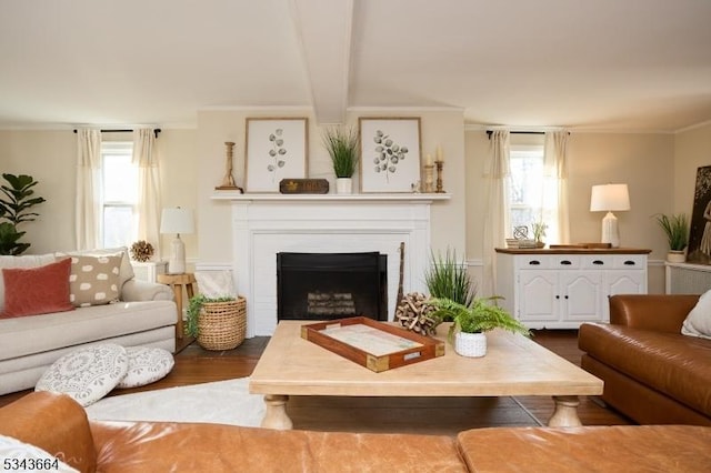 living room with dark wood-type flooring, plenty of natural light, a fireplace, and ornamental molding