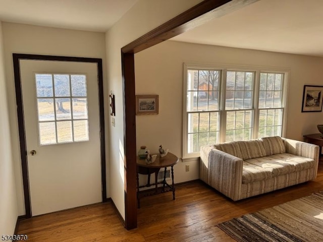 interior space with a wealth of natural light, baseboards, and wood finished floors