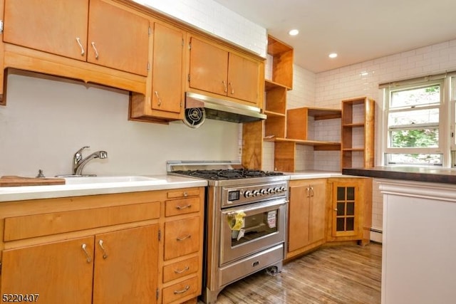 kitchen featuring open shelves, light wood-style flooring, a sink, stainless steel stove, and under cabinet range hood