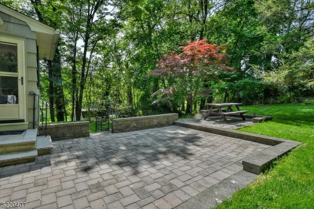 view of community with a yard and a patio area