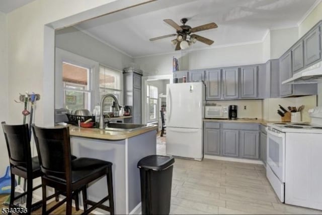 kitchen with white appliances, a ceiling fan, a peninsula, gray cabinets, and under cabinet range hood