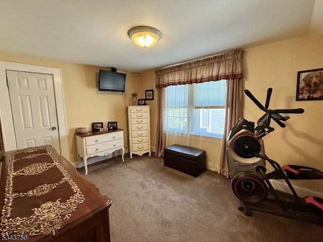 bedroom featuring carpet flooring