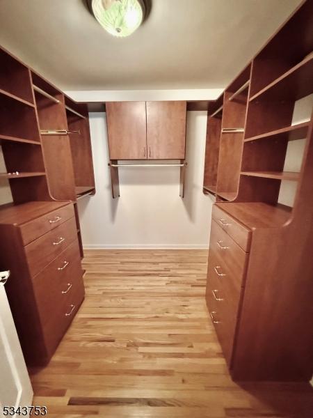 20 Tonnelier Way, Denville Twp, NJ 07834 - spacious closet with light wood-style flooring