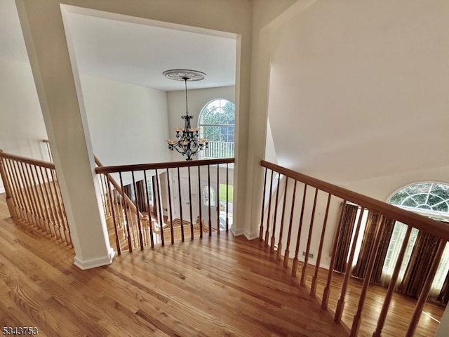 20 Tonnelier Way, Denville Twp, NJ 07834 - stairs with a chandelier, wood finished floors, and plenty of natural light