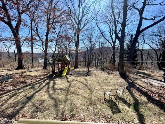 view of yard featuring a playground