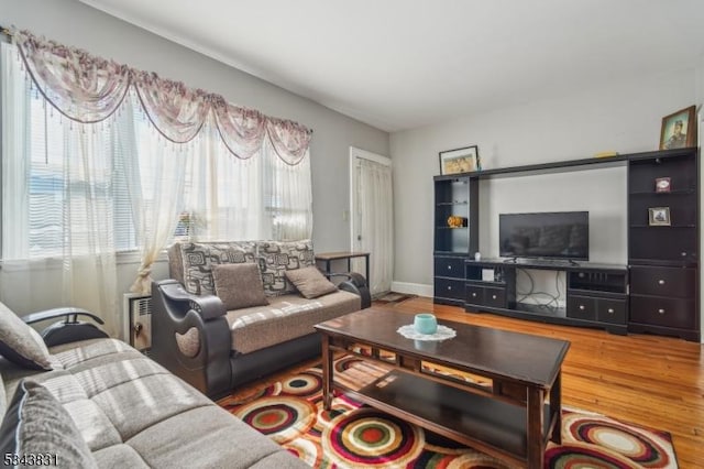 living area featuring wood finished floors