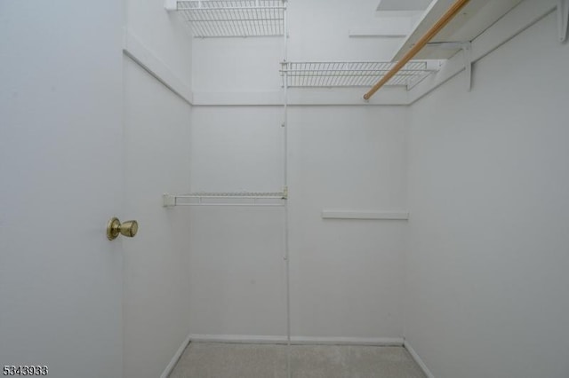 view of walk in closet