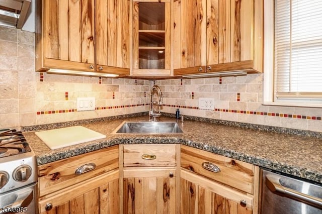 kitchen featuring a sink, glass insert cabinets, appliances with stainless steel finishes, decorative backsplash, and extractor fan