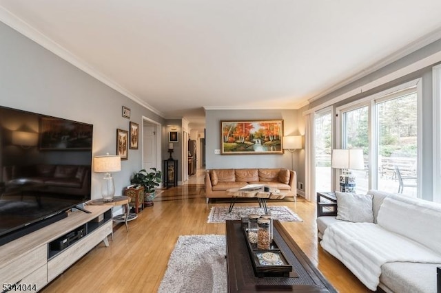 living area with wood finished floors and ornamental molding