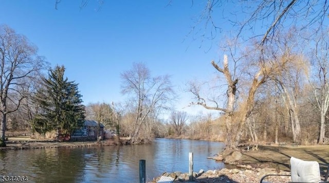 water view featuring a view of trees