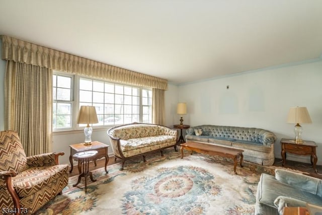 living area with crown molding