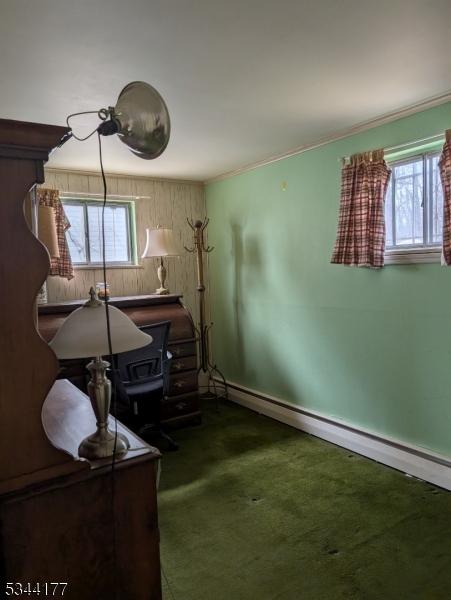 unfurnished bedroom featuring carpet flooring, a baseboard heating unit, baseboards, and ornamental molding