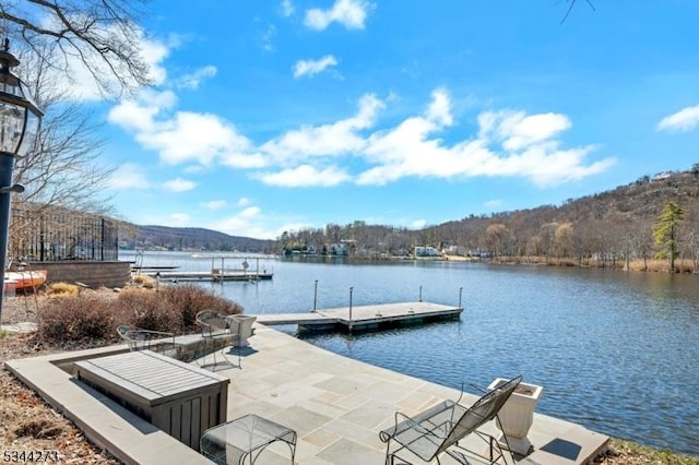 dock area with a water view