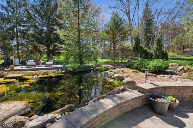 view of property's community with a small pond