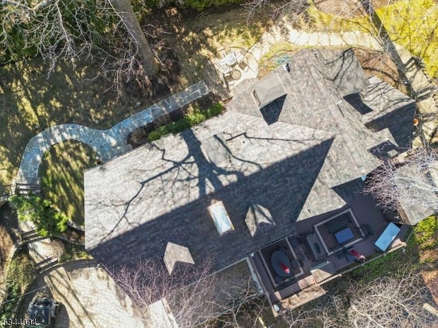 bird's eye view