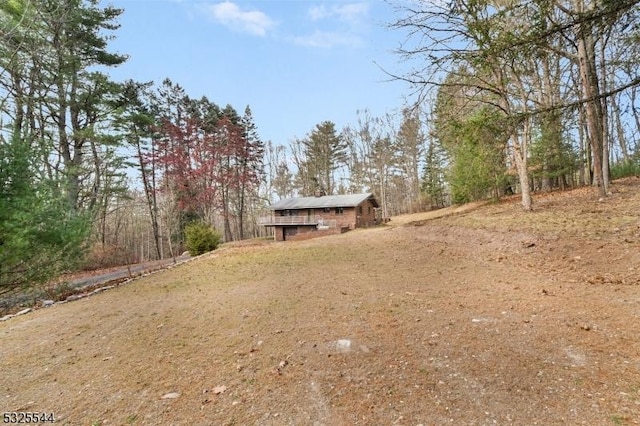 159 US Highway 206, Sandyston Twp, NJ 07826 - view of yard