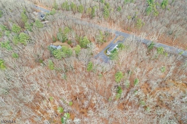 159 US Highway 206, Sandyston Twp, NJ 07826 - drone / aerial view