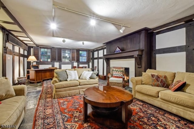 living area with track lighting