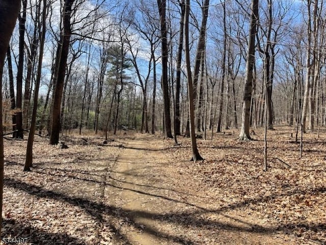5 Calais Rd, Mendham Twp, NJ 07945 - view of yard