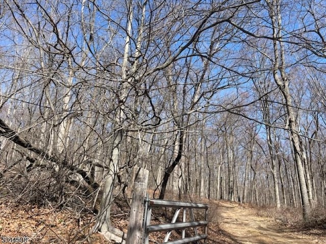 7 Calais Rd, Mendham Twp, NJ 07945 - view of yard