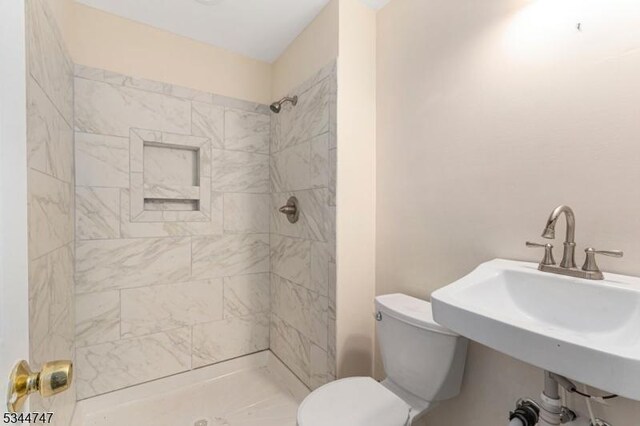 75 Shore Rd, Green Twp, NJ 07821 - full bathroom with toilet, tiled shower, and a sink