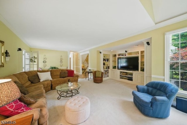 2 Wakefield Dr, Washington Twp, NJ 07840 - living area with vaulted ceiling, carpet floors, and built in shelves