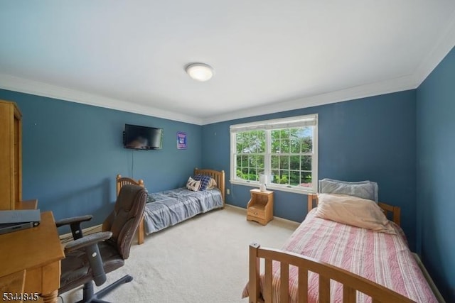 2 Wakefield Dr, Washington Twp, NJ 07840 - carpeted bedroom with ornamental molding and a desk