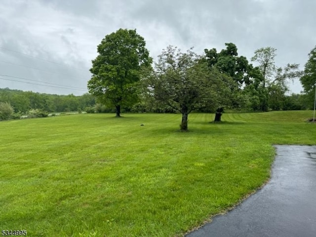 110 Mudtown Rd, Wantage Twp, NJ 07461 - view of green lawn