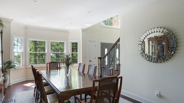 1121 N Washington Ave, Green Brook Twp, NJ 08812 - dining space with plenty of natural light, baseboards, dark wood-type flooring, and ornamental molding