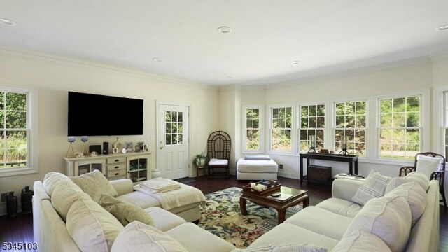 1121 N Washington Ave, Green Brook Twp, NJ 08812 - living area featuring crown molding and dark wood-type flooring
