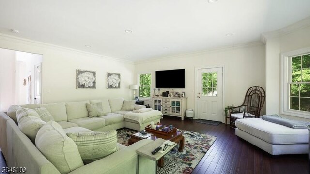 1121 N Washington Ave, Green Brook Twp, NJ 08812 - living room featuring ornamental molding and dark wood-style flooring