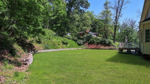 1121 N Washington Ave, Green Brook Twp, NJ 08812 - view of green lawn with a deck