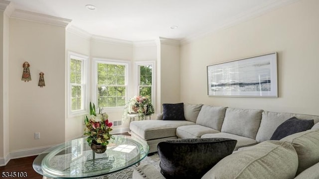 1121 N Washington Ave, Green Brook Twp, NJ 08812 - living room with dark wood finished floors, crown molding, baseboards, and recessed lighting