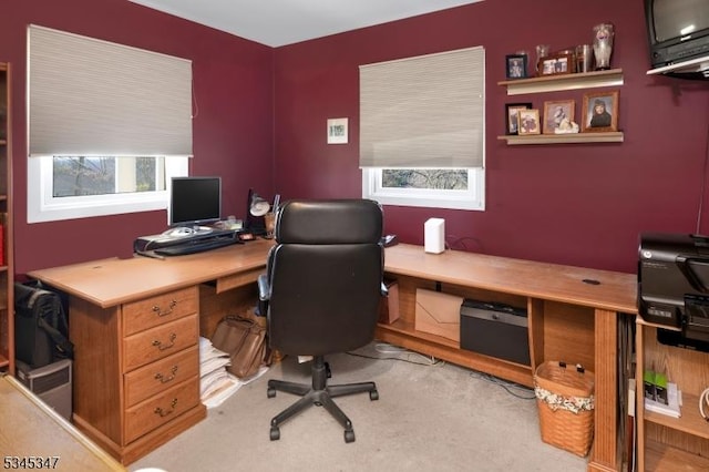 113 Circle Dr S, West Amwell Twp, NJ 08530 - view of carpeted office