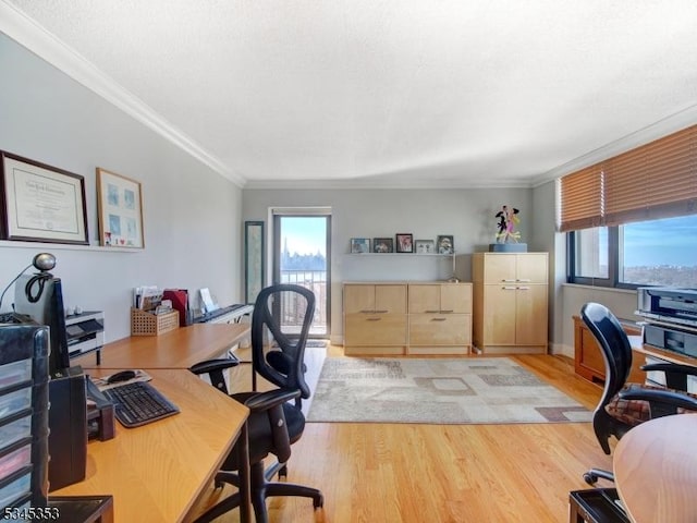 office space featuring light wood finished floors, plenty of natural light, and ornamental molding
