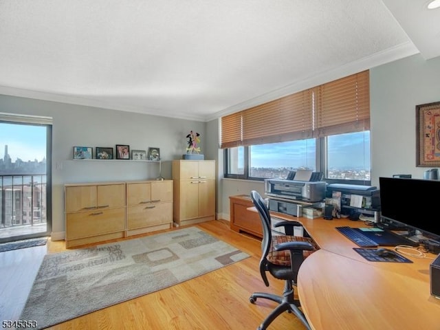 office area featuring light wood-style floors and ornamental molding