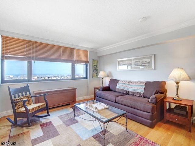living area featuring baseboards, wood finished floors, and ornamental molding