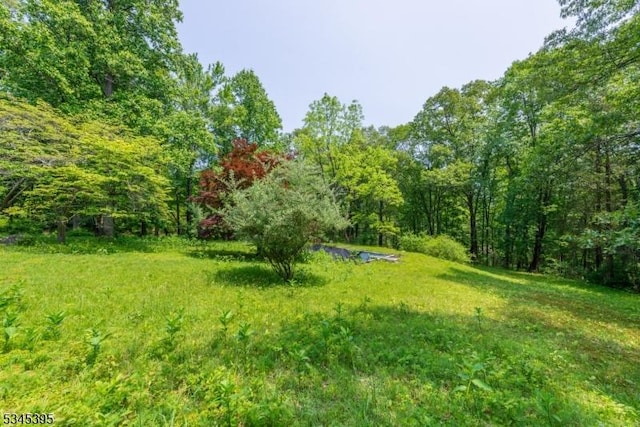 992 Stillwater Rd, Stillwater Twp, NJ 07860 - view of yard featuring a view of trees