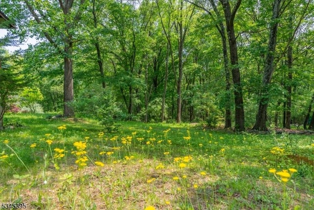 992 Stillwater Rd, Stillwater Twp, NJ 07860 - view of wooded area