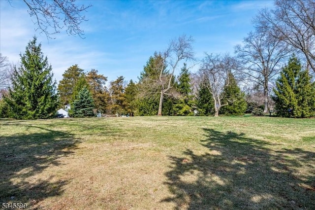 31 Riverview Ter, Hillsborough Twp, NJ 08844 - view of yard