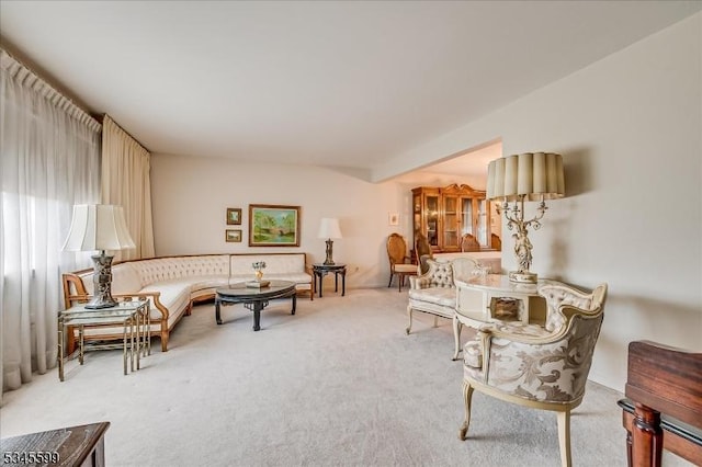 31 Riverview Ter, Hillsborough Twp, NJ 08844 - view of carpeted living room