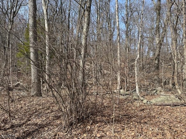 508 Retreat Dr, Vernon Twp, NJ 07422