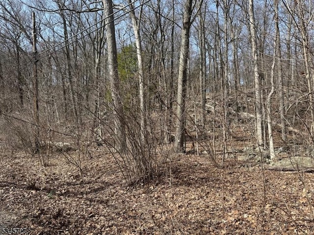 508 Retreat Dr, Vernon Twp, NJ 07422